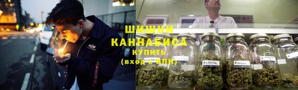 винт Нея