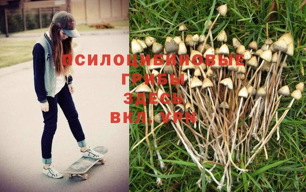 винт Нея