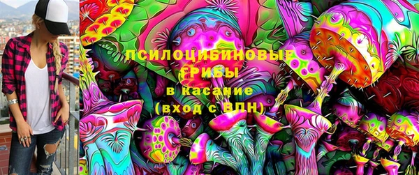 трава Нефтекумск