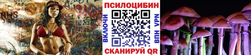 цена наркотик  Светлый  Галлюциногенные грибы Psilocybe 