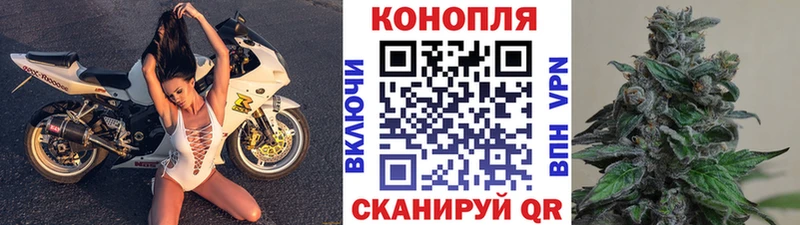 Бошки Шишки конопля  закладка  Светлый 